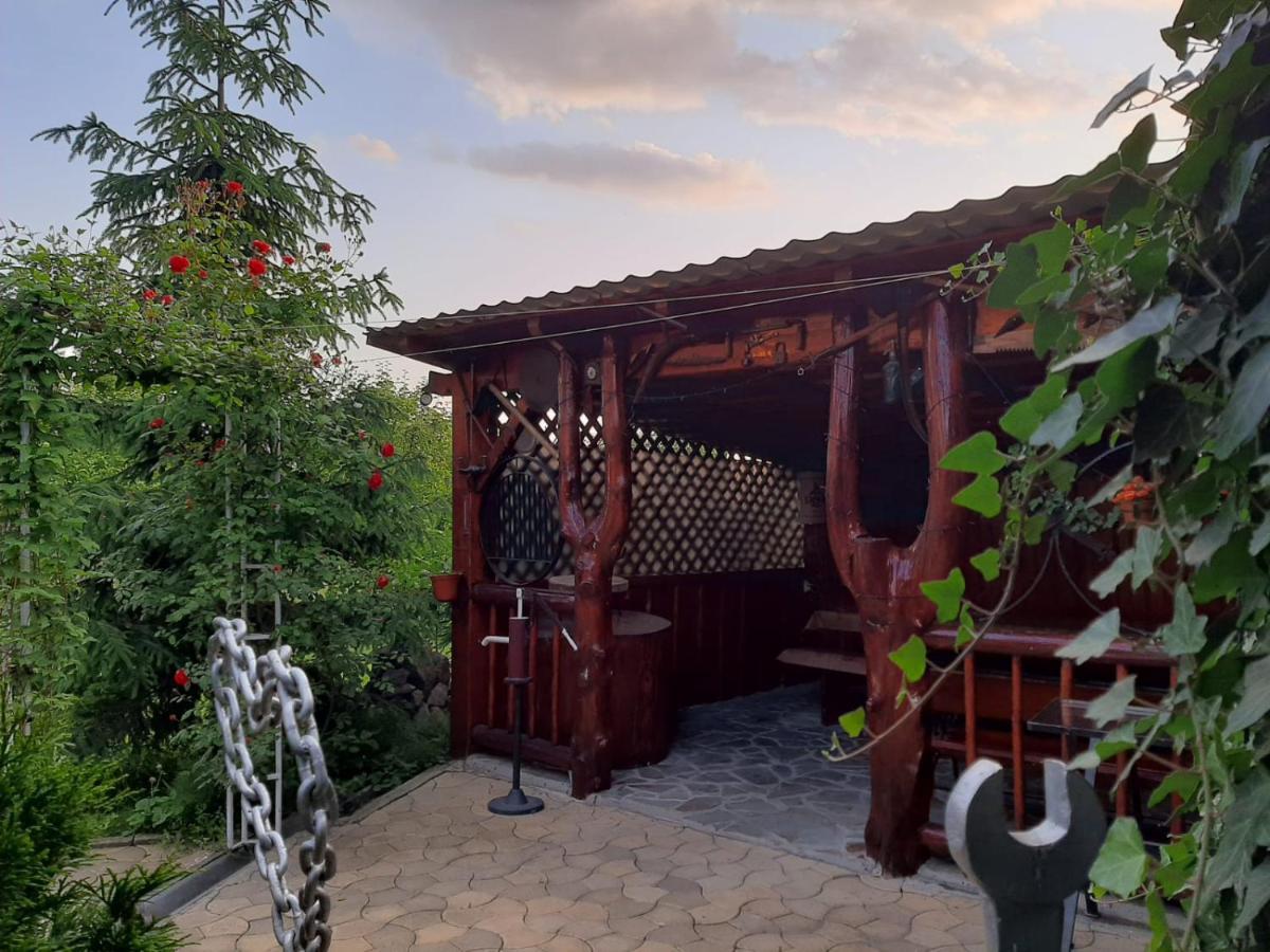 Casa Neagu 호텔 코바스나 외부 사진