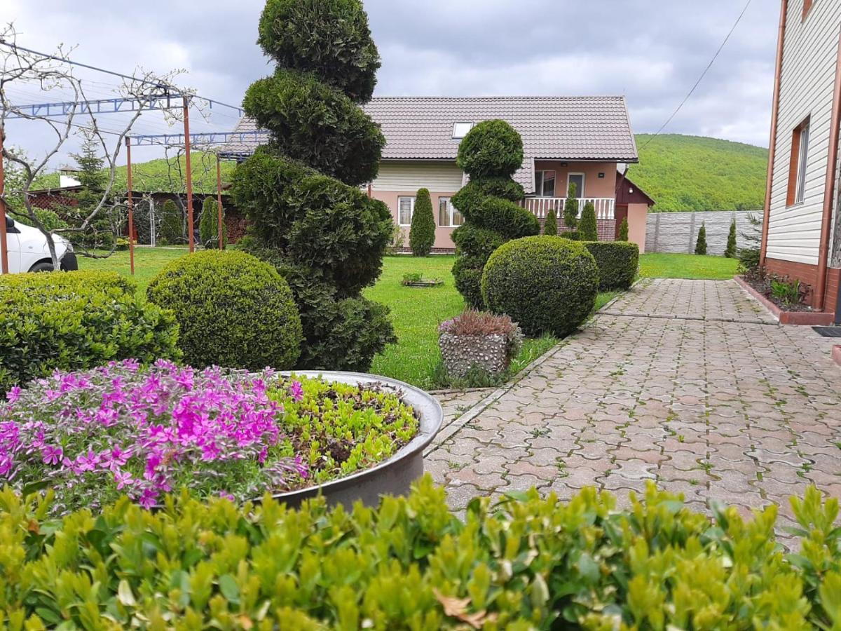 Casa Neagu 호텔 코바스나 외부 사진
