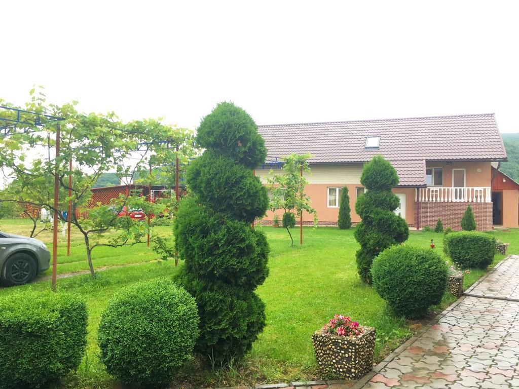 Casa Neagu 호텔 코바스나 외부 사진